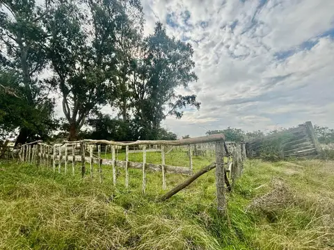 35 Has Agrícolas – Ganaderas en Magdalena BS AS