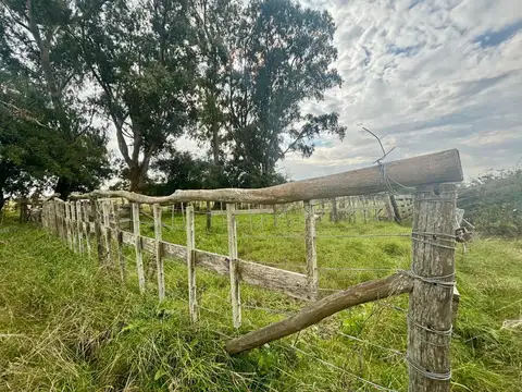 35 Has Agrícolas – Ganaderas en Magdalena BS AS