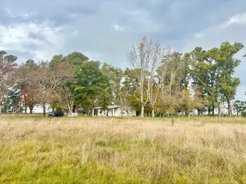 35 Has Agrícolas – Ganaderas en Magdalena BS AS