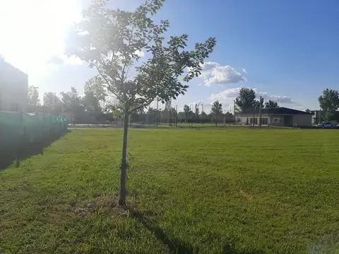 Terreno en Venta 20  mts Frente