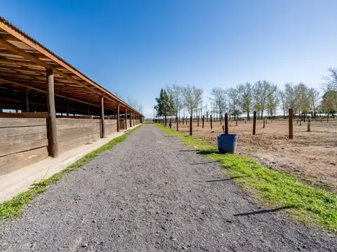 Terreno en Venta 50  mts Fondo
