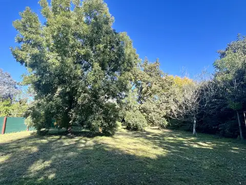 Lote arbolado en venta zona de La Bota Benavidez