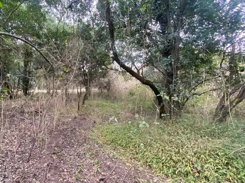 Terreno en Venta de 608,0 m2