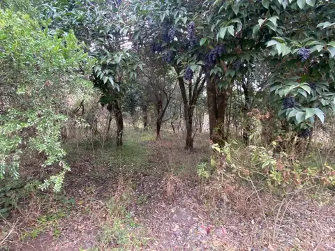 Terreno en Venta de 608,0 m2