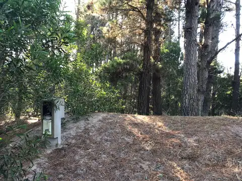 Cruz del Sur y Del Plata