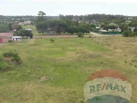 CAMPO EN VENTA EN 185 y 72. 12 HECTAREAS