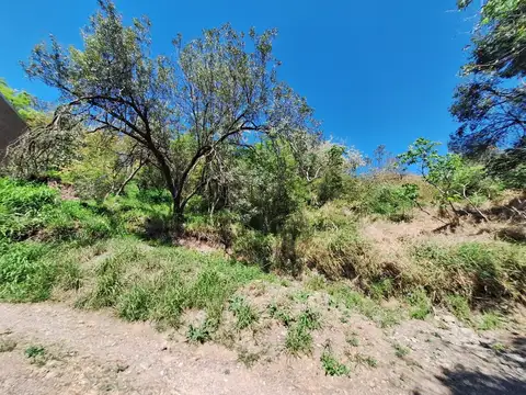 Terreno en Venta de 725,0 m2
