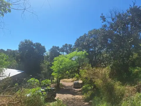 El Jote