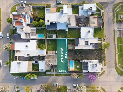 La Bailarina 5400