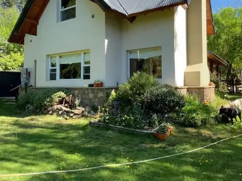 Chimehuín 100
