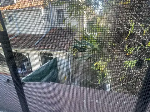 Depto Tipo Casa en Alquiler de 2 ambientes