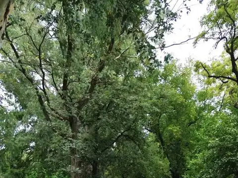 Terreno en Venta en Venado Tuerto, USD 45.000