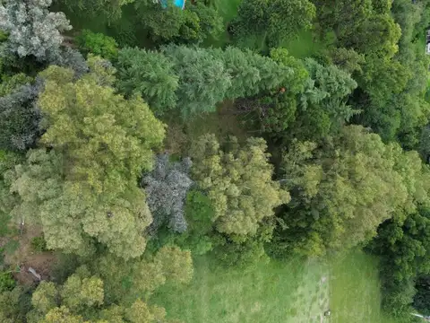 Terreno en Venta 100  mts Fondo