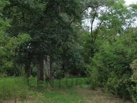 Ruta Provincial 4-S , Piso 0