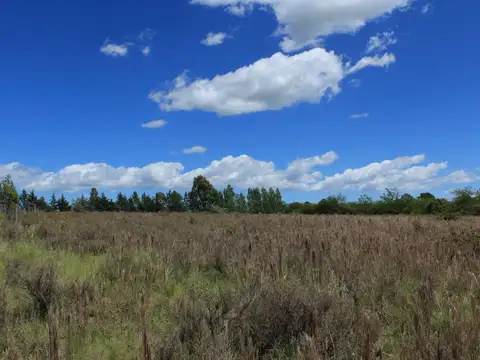 Terreno en Venta 71  mts Fondo