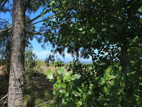 Terreno en Venta de 7748,0 m2