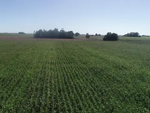 Mar Chiquita - 19 has. Agricola