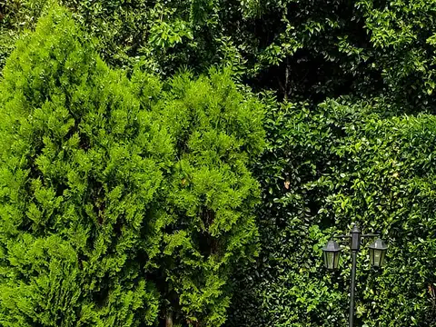 Club de Campo Pueyrredón, Chacabuco 6