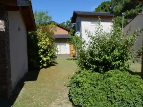 destructor rosales 1500