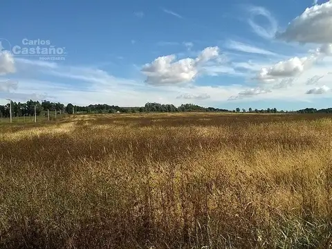 Venta de 1000Ha, Zona Agrícola, La Numancia