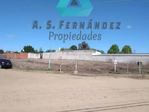 TERRENOS (LA BIANCA)