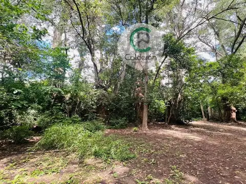 Quinta en Venta en Francisco Alvarez, USD 85.000