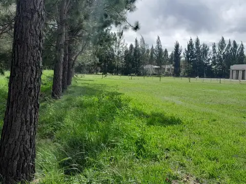 Terreno en Venta de 2287,0 m2