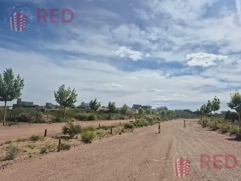 Vende Terreno en Chocon Medio Sector Praderas