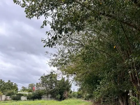 Terreno en venta – Zona de alto tráfico comercial