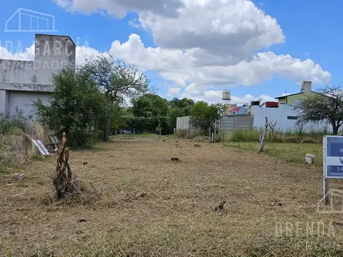 BERDUC ENTRE SAN LORENZO Y LOS NARANJOS