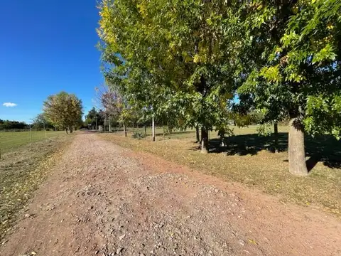 Terreno en Venta en Los Hornos, USD 21.650