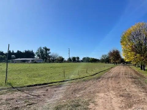 VENTA DE LOTES Av. 167 y 75 -  (LOS HORNOS) OPORTUNIDAD