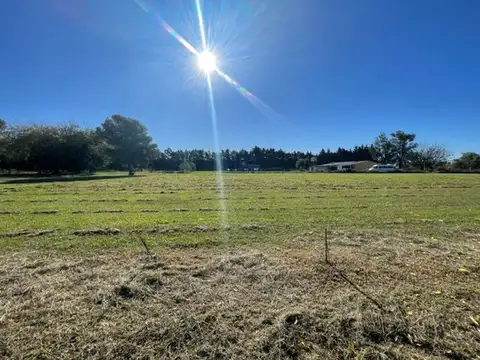 Av. 167 y 75 - LOTES EN VENTA (LOS