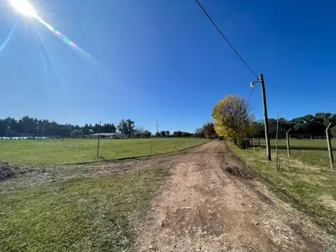Av. 167 y 75 - LOTES EN VENTA (LOS
