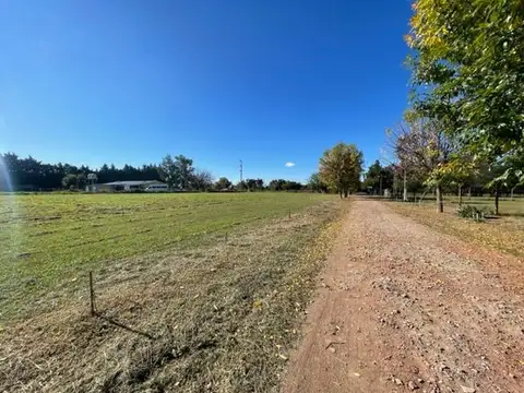 VENTA DE LOTES Av. 167 y 75 -  (LOS HORNOS) OPORTUNIDAD