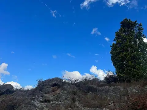 Peñon De Aguila