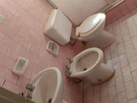 Concolorcorvo 2785 03-06