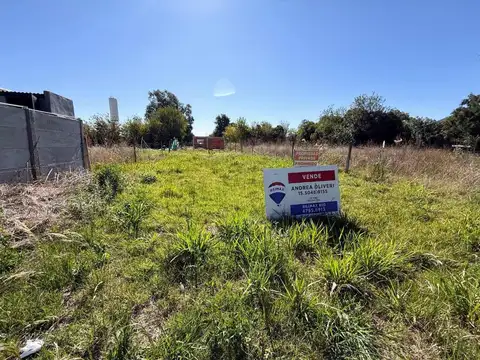 Terreno en Venta de 300,0 m2