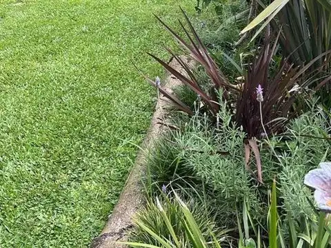 Casa en Alquiler Temporal A Estrenar