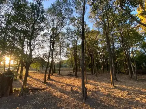 Terreno en Venta en Algarrobo Abuelo, Merlo