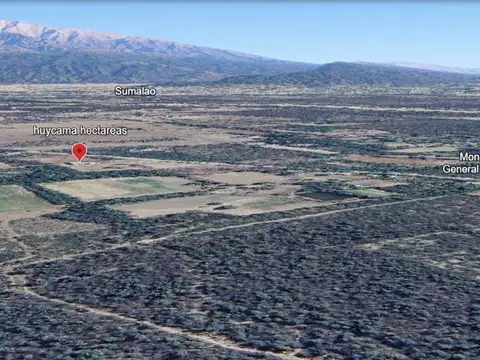 SE VENDE HECTAREAS EN HUAYCAMA VALLE VIEJO