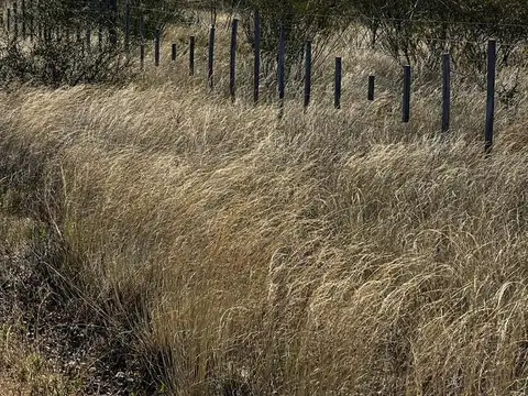 VENTA LOTE PUERTO MADRYN, PARQUE ECOLOGICO