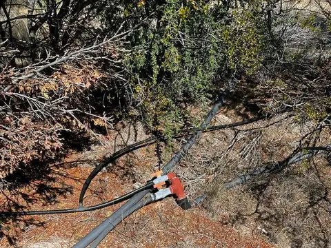 Terreno en Venta en Puerto Madryn, USD 42.000