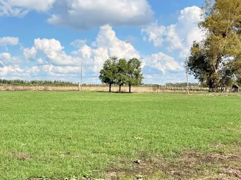 Loteo en el campo en el apacible y encantador pueblito de Salvador María, Segunda Circunvalación y calle 13