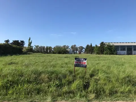 LAS VIOLETAS ( A 52 MTS DE CALLE)