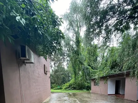 La Plantación 53