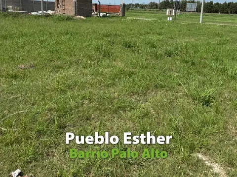 Terreno en Pueblo Esther Barrio palo alto