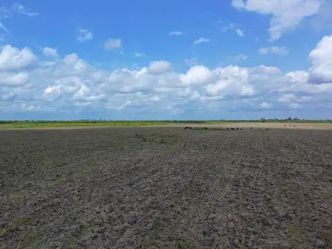 26 Has. de campo agrícola en Feliciano, Entre Ríos