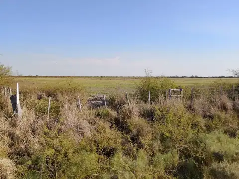 26 Has. de campo agrícola en Feliciano, Entre Ríos