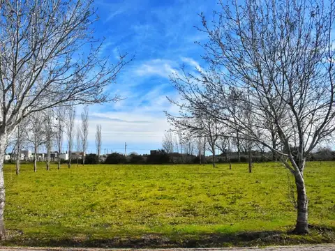 Terreno en venta - 1.586Mts2 - Cañuelas